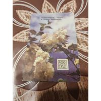 Календарик,страхование,1980