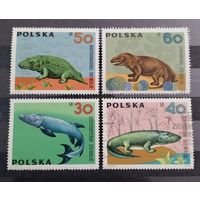 Польша 1966 фауна, динозавры, одна гашеная