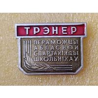 Тренеру победителя областной спартакиада школьников