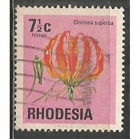 Родезия. Цветы. Глориоза. 1974г. Mi#146.