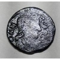 Боратинка фальш 9