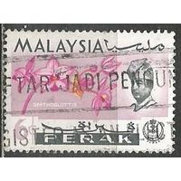 Малайские штаты(Перак). Цветы. Орхидея Спатоглоттис. 1965г. Mi#118..