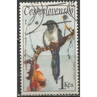 Чехословакия. Сорока. 1972г. Mi#2112.