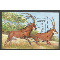 Фауна Животные  1994 Сахара