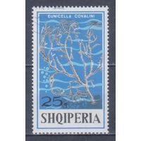 [2455] Албания 1975. Морская фауна.Кораллы и другие.25к. Гашеная марка.