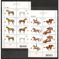 ФФ3 Украина 2005-06 Лошади