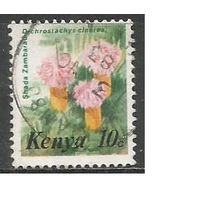 Кения. Цветы. Канерика. 1983г. Mi#240.