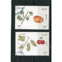 Алжир. Фруктовые деревья. Абрикос, вишня