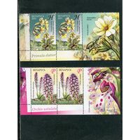 Беларусь 2011. Флора. Охраняемые растения. Сцепки с купоном