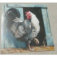 Посткроссинг. Открытка "Кузьма Петрович", худ.Мария Павлова (15х15). Прошла почту. Художественные марки, чёткий штемпель.