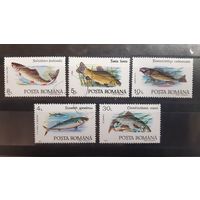 Румыния. 1992 год. Фауна. Рыбы (37)