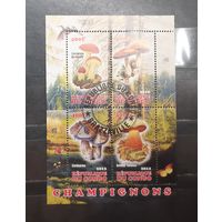 Конго. 2012 год. Флора. Грибы. Блок (1004)