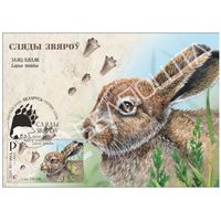 Картмаксимум "Заяц." Следы зверей.