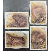 Беларусь 1996. Фауна. Европейский бобёр. Полная серия