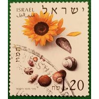 Израиль 2002. Подсолнух и ракушки