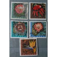 Польша цветы 5шт