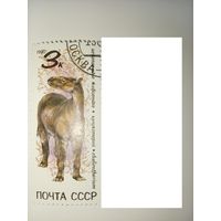 СССР 1990 год. Ископаемые животные. **чист.