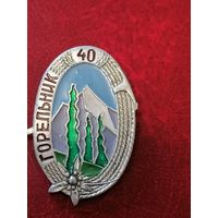Значок Горельник 40