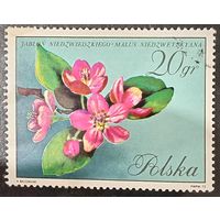 Польша 1972. Флора. Цветы яблони