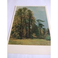 Открытка. И. Шишкин. Осень.