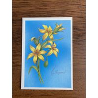 Открытка. Цена за одну.