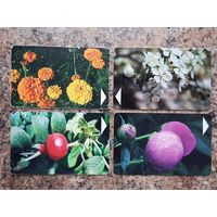 Лот телефонных карт РБ "Цветы" (4 шт.)