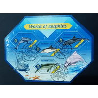 ФАУНА РЫБЫ МОРСКИЕ ОБИТАТЕЛИ    БЛОК  сто