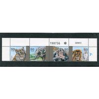 Израиль. Фауна зоопарка. Верхняя сцепка листа