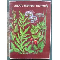 Лекарственные растения. Полный набор из 32 открыток. 4 выпуск 1980.
