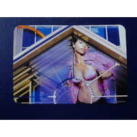 Календарик 2003 г.  Окна и балконные двери.