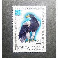 Марка СССР 1982 год Птицы