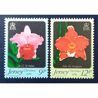 Джерси. Орхидеи.