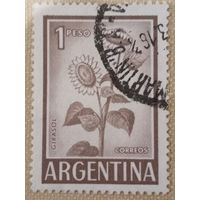 Аргентина. Флора. Girasol