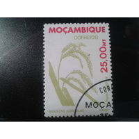Мозамбик, 1981. Рис. Mi-1,1 евро гаш.