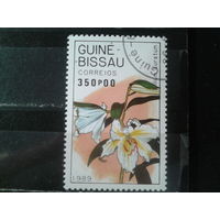 Гвинея Бисау, 1989. Лилия