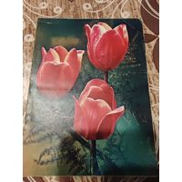 Открытка,телеграмма,подписана