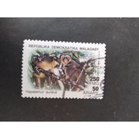 Мадагаскар 1989
