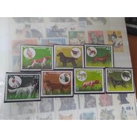 Марки Болгарии, охотничьи собаки.