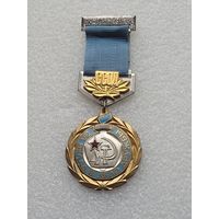 Почетный знак ССОД "За влад в дело дружбы " + документ и грамота.