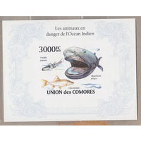 Рыбы Фауна Коморы Коморские острова 2010 год лот 1051   ЧИСТЫЙ БЛОК