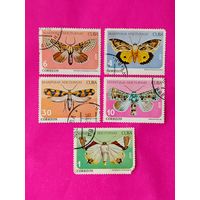 Куба. Бабочки. ( 5 марок ) 1979 года. 2-13.