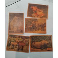 Открытки. ИЗОГИЗ. СССР. Животные