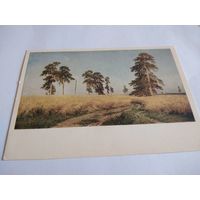 Открытка 1978г. И. Шишкин. Рожь.