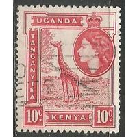 Кения Уганда и Танганьика. Королева Елизавета II. Жираф. 1954г. Mi#93.