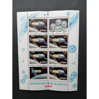 Польша 1973 Блок Mi.53 с 6 марками и 2 купонами "Космические исследования: советская опытная станция "Салют"" (гашение с клеем) марка Mi.2255 каталог 5.00 евро