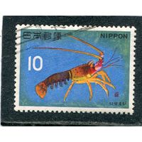 Япония. Фауна моря