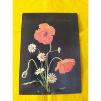 Поздравляю