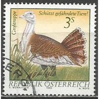 Австрия. Дрофа. 1982г. Mi#1717.