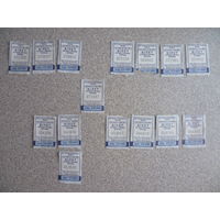 Билеты Светлогорск 2024, 2025 гг.