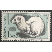 Чехословакия. Горностай. 1967г. Mi#1633.
